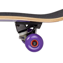 Ron Jon Alien Complete Short Skateboard